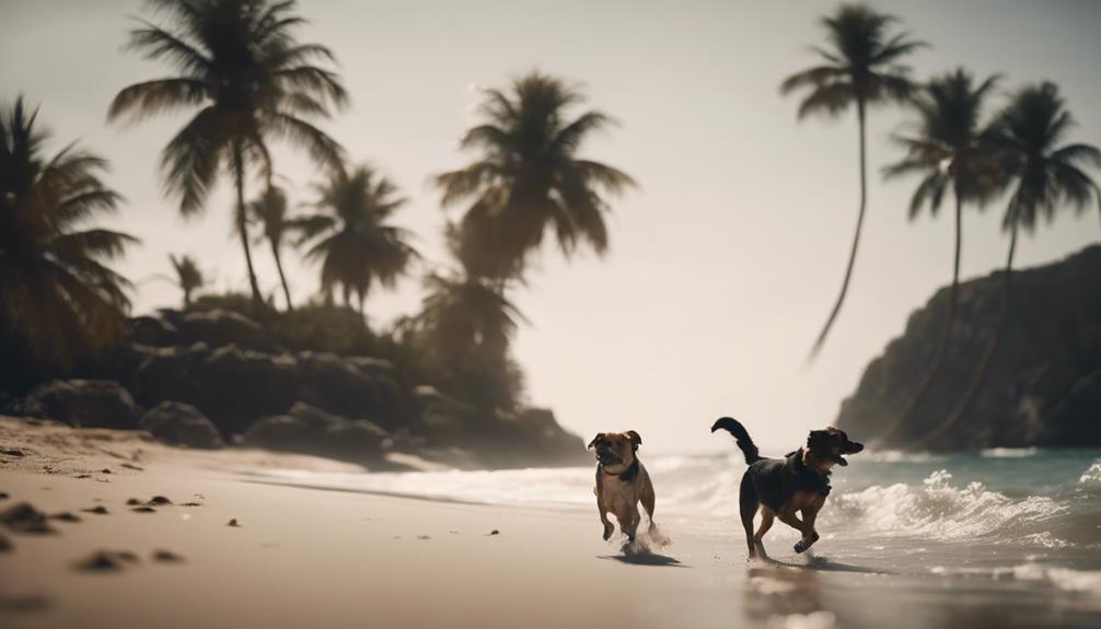 Top Pet-Friendly Vacation Spots: A Detailed Guide